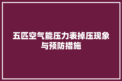 五匹空气能压力表掉压现象与预防措施