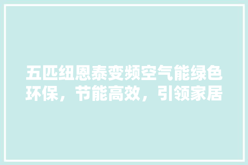 五匹纽恩泰变频空气能绿色环保，节能高效，引领家居舒适新风尚