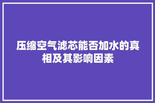 压缩空气滤芯能否加水的真相及其影响因素