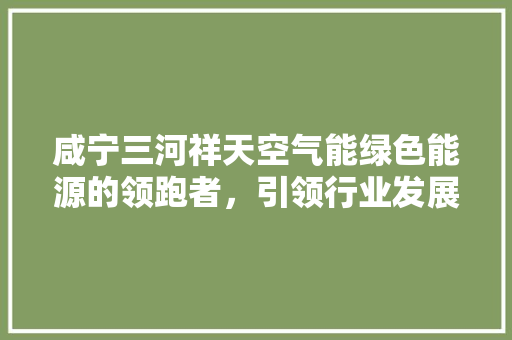 咸宁三河祥天空气能绿色能源的领跑者，引领行业发展新潮流