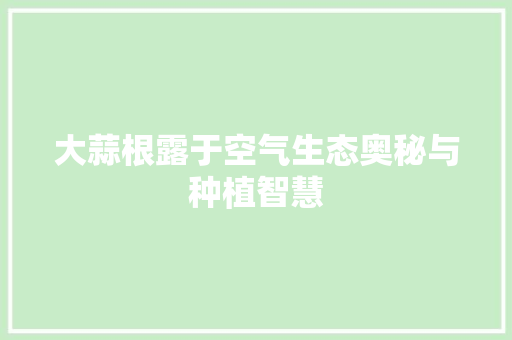 大蒜根露于空气生态奥秘与种植智慧