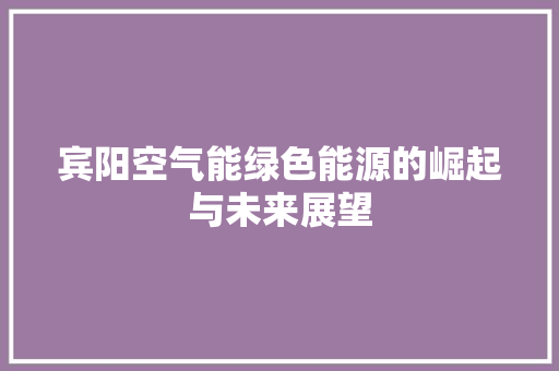 宾阳空气能绿色能源的崛起与未来展望
