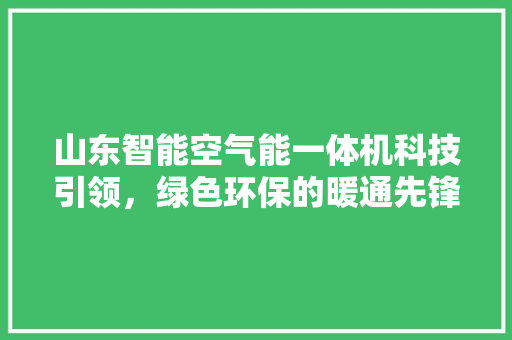 山东智能空气能一体机科技引领，绿色环保的暖通先锋
