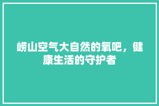 崂山空气大自然的氧吧，健康生活的守护者 家电维修
