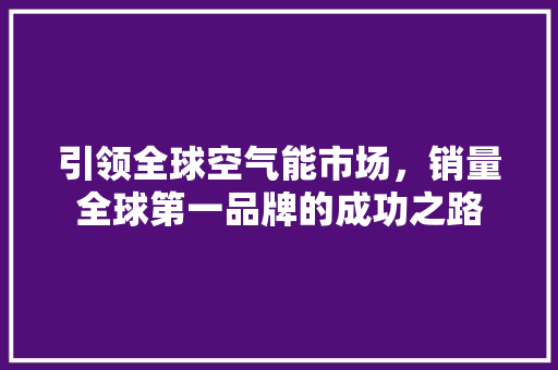 引领全球空气能市场，销量全球第一品牌的成功之路