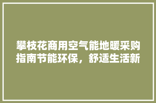 攀枝花商用空气能地暖采购指南节能环保，舒适生活新选择