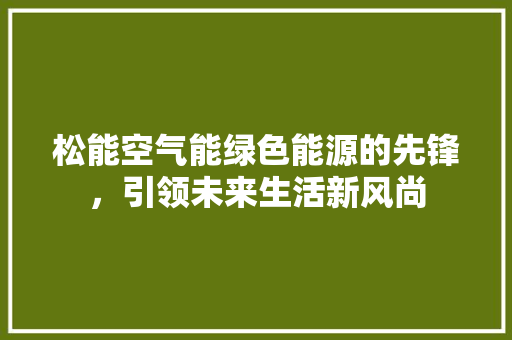 松能空气能绿色能源的先锋，引领未来生活新风尚