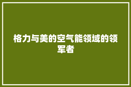 格力与美的空气能领域的领军者