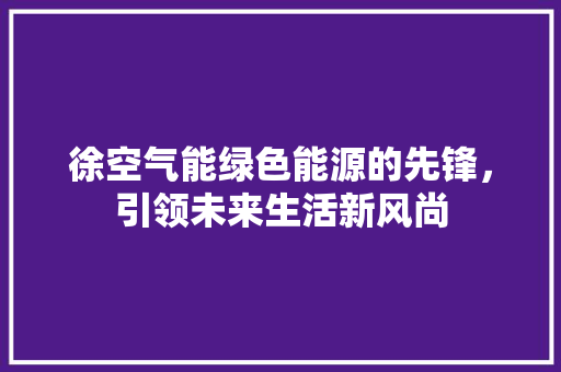 徐空气能绿色能源的先锋，引领未来生活新风尚