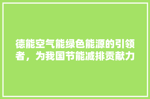 德能空气能绿色能源的引领者，为我国节能减排贡献力量