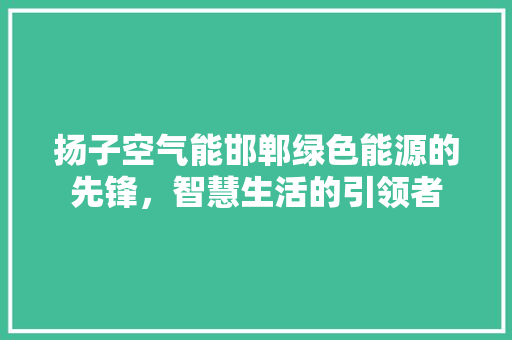 扬子空气能邯郸绿色能源的先锋，智慧生活的引领者
