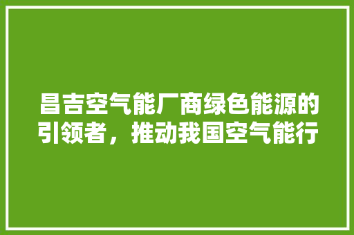 昌吉空气能厂商绿色能源的引领者，推动我国空气能行业蓬勃发展