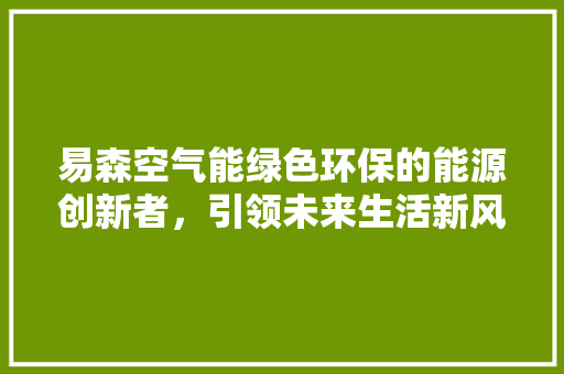 易森空气能绿色环保的能源创新者，引领未来生活新风尚