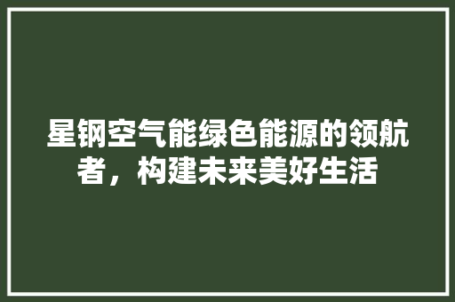 星钢空气能绿色能源的领航者，构建未来美好生活