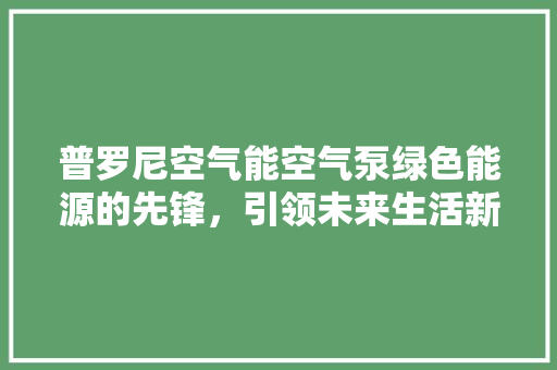 普罗尼空气能空气泵绿色能源的先锋，引领未来生活新风尚
