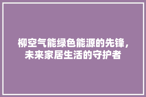 柳空气能绿色能源的先锋，未来家居生活的守护者