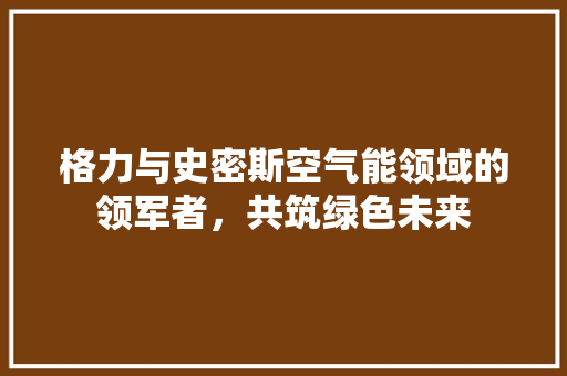 格力与史密斯空气能领域的领军者，共筑绿色未来