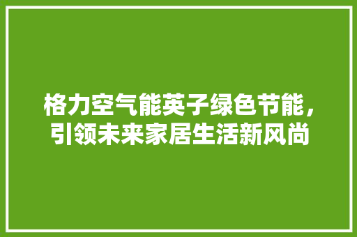 格力空气能英子绿色节能，引领未来家居生活新风尚