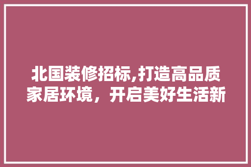 北国装修招标,打造高品质家居环境，开启美好生活新篇章 北国装修招标,打造高品质家居环境，开启美好生活新篇章 厨房维修