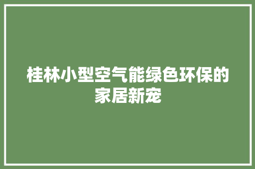 桂林小型空气能绿色环保的家居新宠