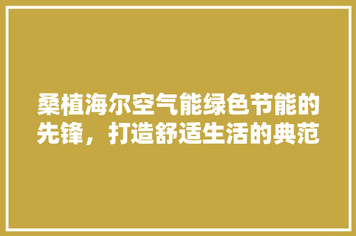 桑植海尔空气能绿色节能的先锋，打造舒适生活的典范