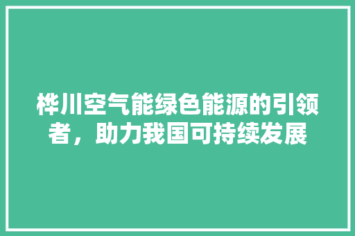 桦川空气能绿色能源的引领者，助力我国可持续发展
