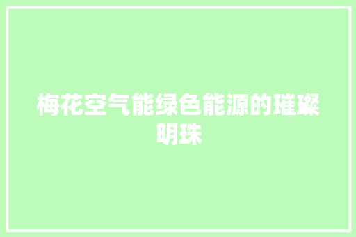 梅花空气能绿色能源的璀璨明珠 厨房维修