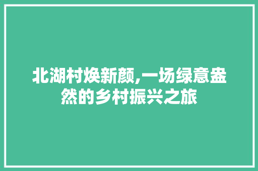 北湖村焕新颜,一场绿意盎然的乡村振兴之旅 北湖村焕新颜,一场绿意盎然的乡村振兴之旅 厨房维修