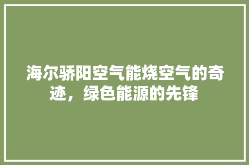 海尔骄阳空气能烧空气的奇迹，绿色能源的先锋