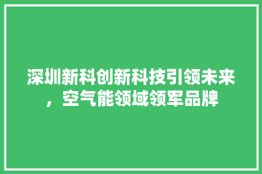 深圳新科创新科技引领未来，空气能领域领军品牌