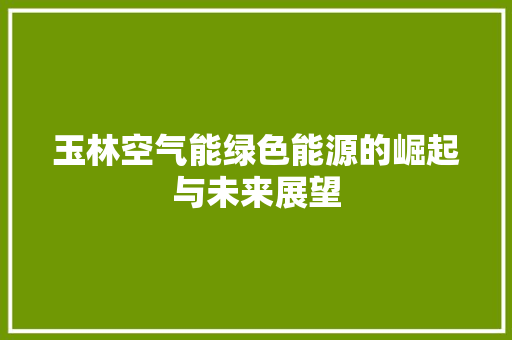 玉林空气能绿色能源的崛起与未来展望