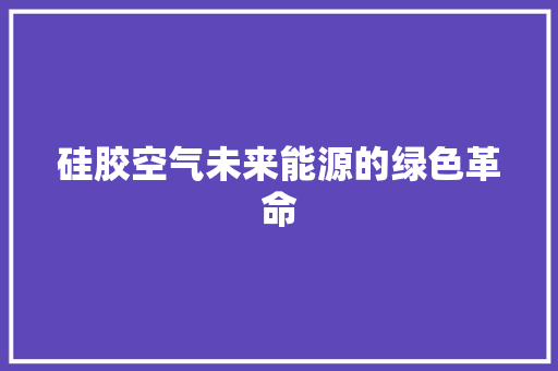 硅胶空气未来能源的绿色革命 墙体维修