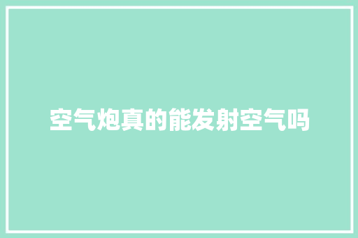 空气炮真的能发射空气吗 综合便民