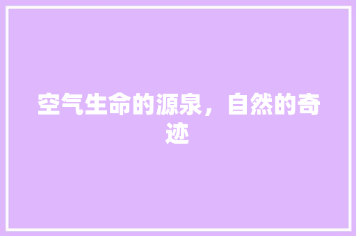 空气生命的源泉，自然的奇迹