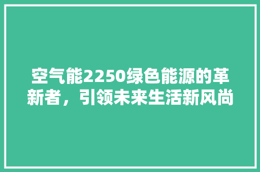 空气能2250绿色能源的革新者，引领未来生活新风尚