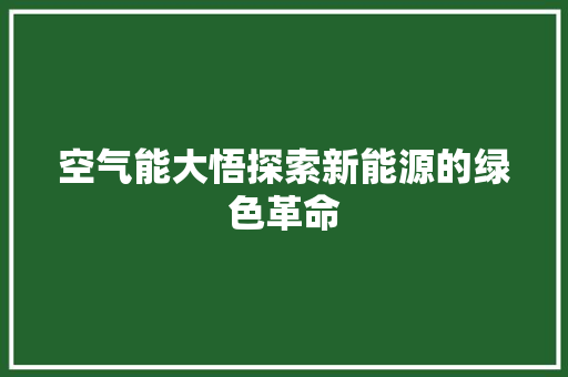 空气能大悟探索新能源的绿色革命