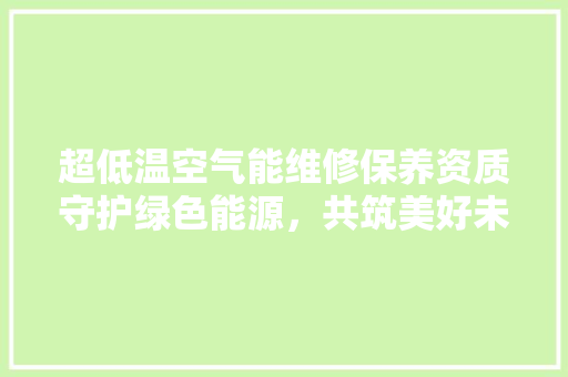 超低温空气能维修保养资质守护绿色能源，共筑美好未来 厨房维修