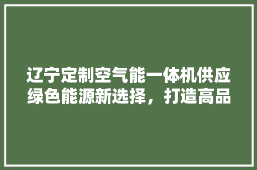 辽宁定制空气能一体机供应绿色能源新选择，打造高品质生活 墙体维修