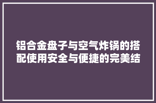 铝合金盘子与空气炸锅的搭配使用安全与便捷的完美结合 汽车维修