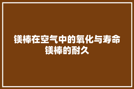 镁棒在空气中的氧化与寿命镁棒的耐久 汽车维修