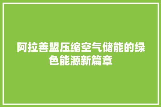 阿拉善盟压缩空气储能的绿色能源新篇章
