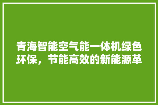 青海智能空气能一体机绿色环保，节能高效的新能源革命 厨房维修