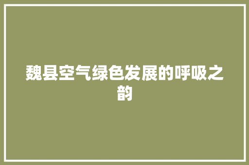 魏县空气绿色发展的呼吸之韵 墙体维修