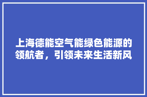 上海德能空气能绿色能源的领航者，引领未来生活新风尚 厨房维修