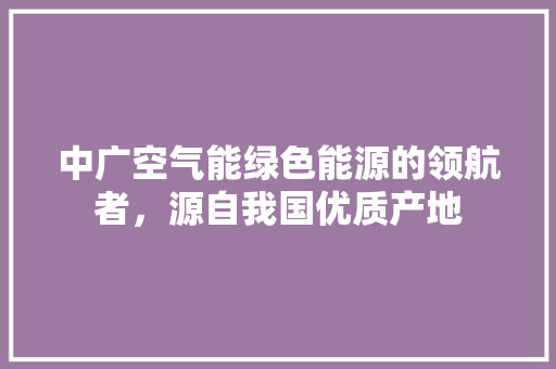 中广空气能绿色能源的领航者，源自我国优质产地