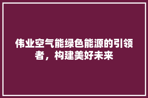 伟业空气能绿色能源的引领者，构建美好未来