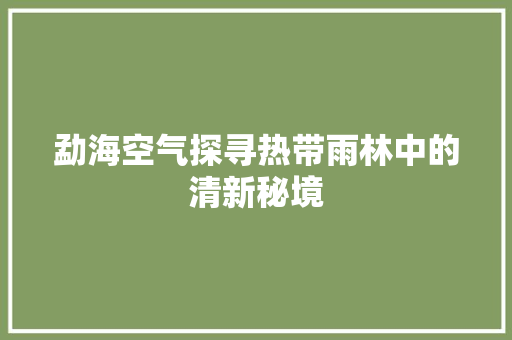 勐海空气探寻热带雨林中的清新秘境