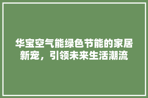 华宝空气能绿色节能的家居新宠，引领未来生活潮流
