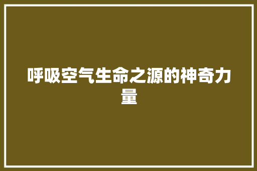 呼吸空气生命之源的神奇力量