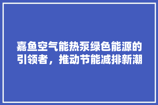 嘉鱼空气能热泵绿色能源的引领者，推动节能减排新潮流